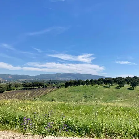 Ikigai Panzió Carvalhal (Leiria)