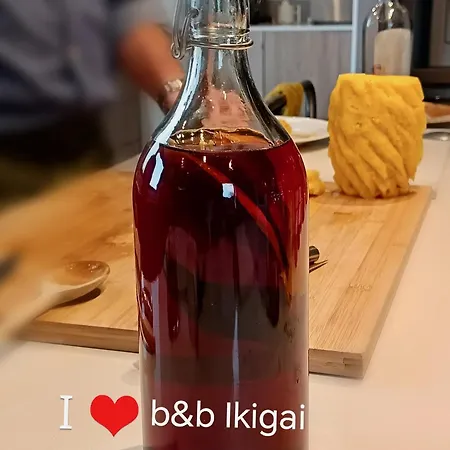 Ikigai 3* Carvalhal (Leiria)