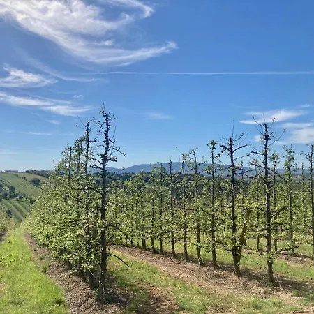 Ikigai Panzió Carvalhal (Leiria)