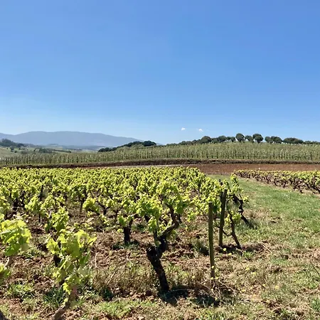 Ikigai Carvalhal (Leiria)