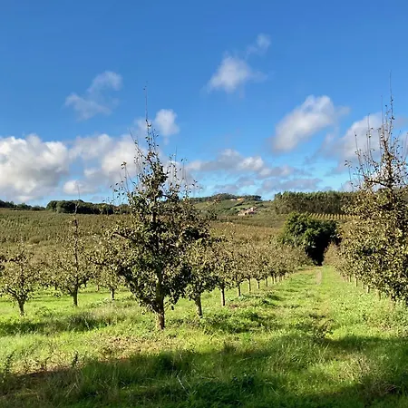 Ikigai 3* Carvalhal (Leiria)