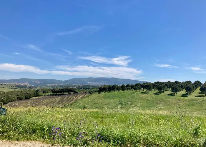 Ikigai Bed & Breakfast Carvalhal (Leiria)