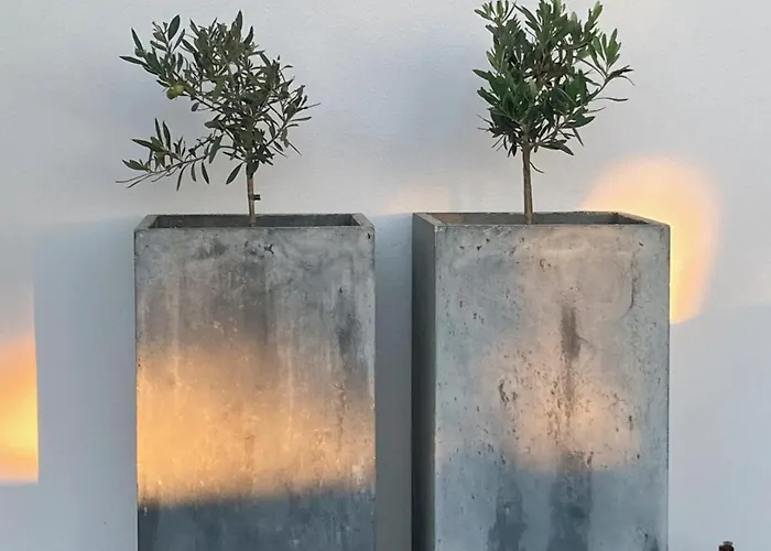 Bed & Breakfast Ikigai 3*