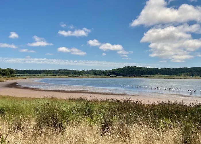 Ikigai Bed & Breakfast Carvalhal (Leiria)