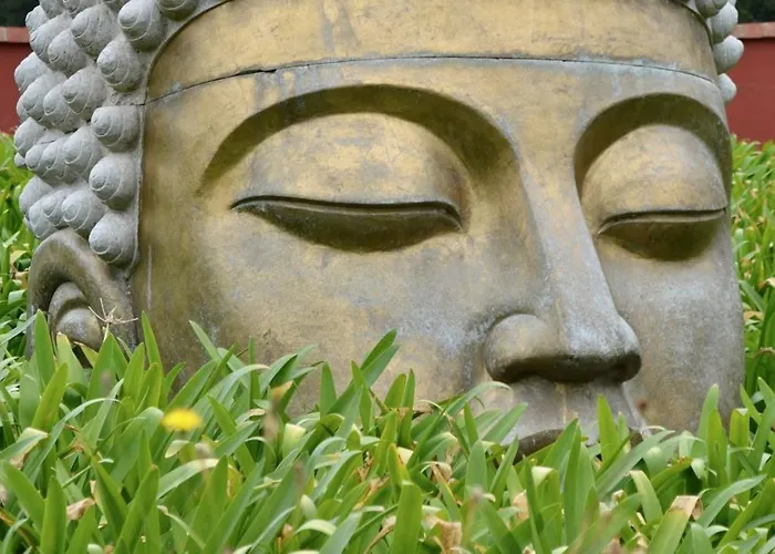 Ikigai 3* Carvalhal (Leiria)