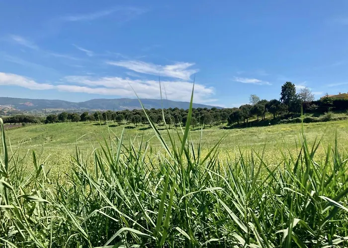 Ikigai Carvalhal (Leiria)