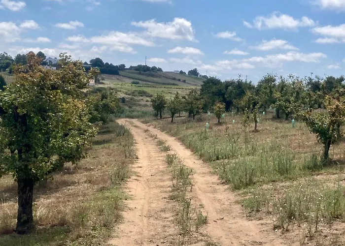 Ikigai Bed & Breakfast 3*