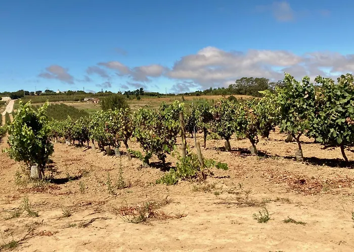 Bed & Breakfast Ikigai 3*