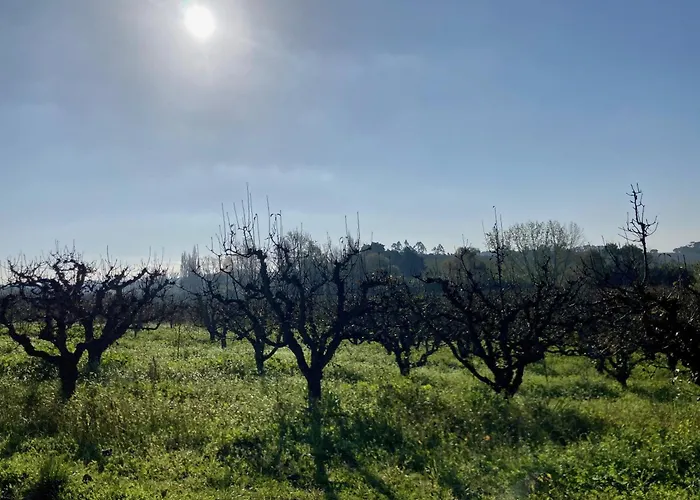 Ikigai Bed & Breakfast 3*