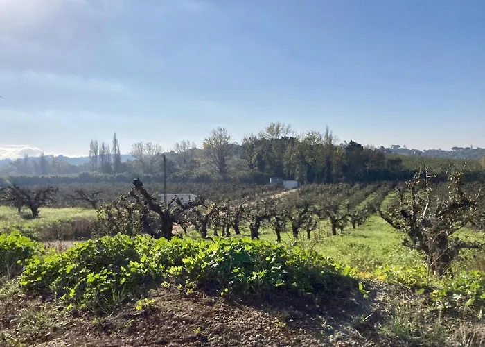 Ikigai Bed & Breakfast Carvalhal (Leiria)