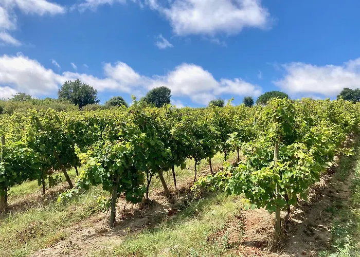 Bed & Breakfast Ikigai