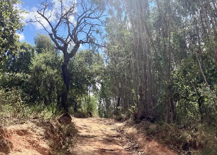 Bed & Breakfast Ikigai 3*