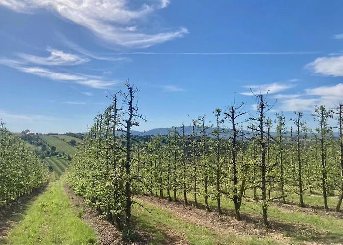 Ikigai Bed & Breakfast Carvalhal (Leiria)